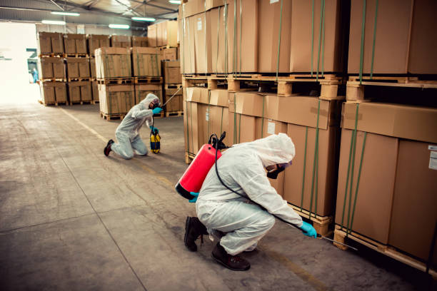 Best Termite Control Services  in Mount Shasta, CA
